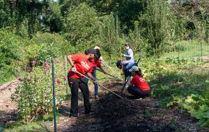 Papa Johns team members volunteering with Concrete Jungle